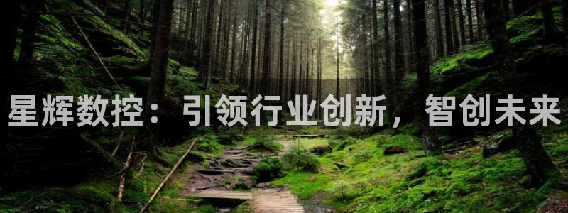 天辰宝娱乐:星辉数控:引领行业创新,智创未来