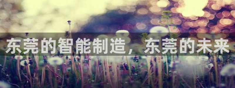 天辰娱乐1980:东莞的智能制造,东莞的未来
