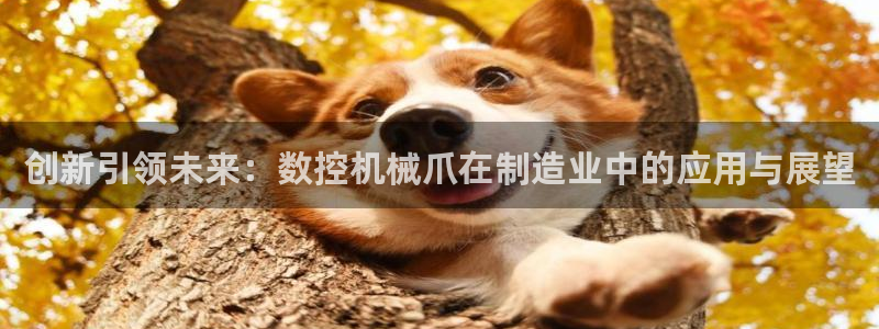 天辰娱乐 231639:创新引领未来:数控机械爪在制造业中的应用与展望