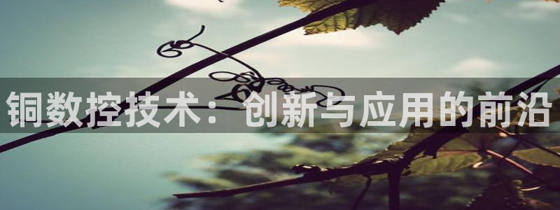 天辰娱乐地址:铜数控技术:创新与应用的前沿