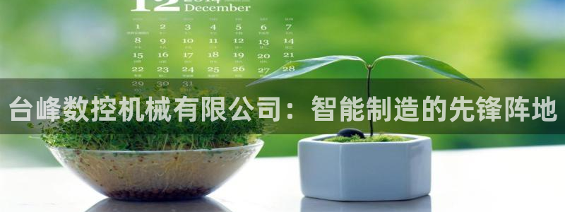 天辰 娱乐 注册:台峰数控机械有限公司:智能制造的先锋阵地