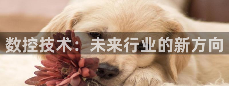 天辰娱乐 44516:数控技术:未来行业的新方向