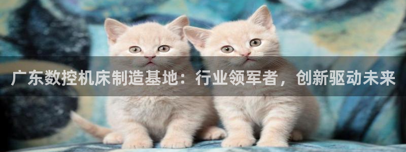 天辰娱乐登录:广东数控机床制造基地:行业领军者,创新驱动未来