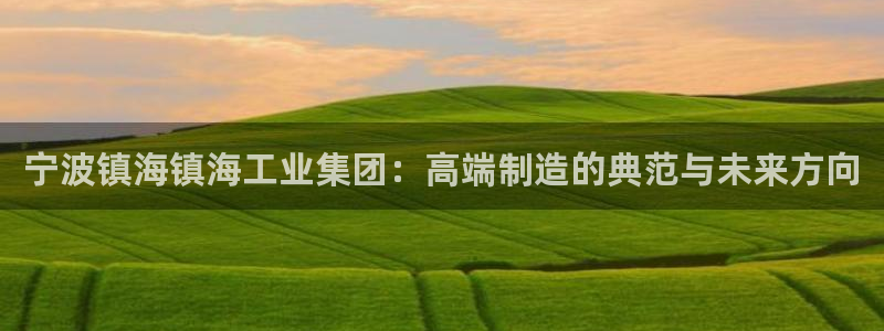 天富娱乐与天辰娱乐:宁波镇海镇海工业集团:高端制造的典范与未来方向