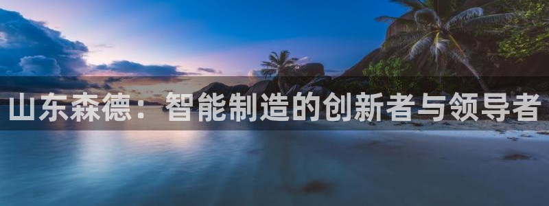 天辰娱乐平台娱乐注册:山东森德:智能制造的创新者与领导者