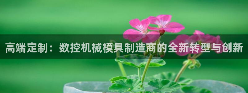 天辰娱乐酒店:高端定制:数控机械模具制造商的全新转型与创新