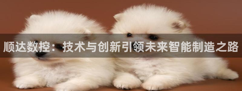 天辰娱乐公司:顺达数控:技术与创新引领未来智能制造之路