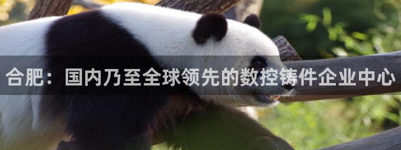 天辰国际娱乐:合肥:国内乃至全球领先的数控铸件企业中心