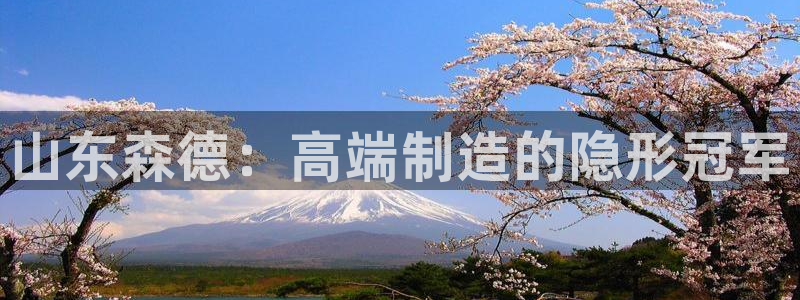 天辰娱乐白屏:山东森德:高端制造的隐形冠军