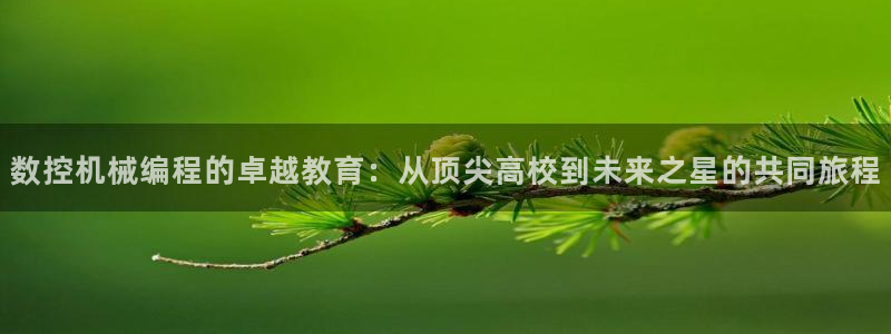 桂林天辰娱乐:数控机械编程的卓越教育:从顶尖高校到未来之星的共同旅程