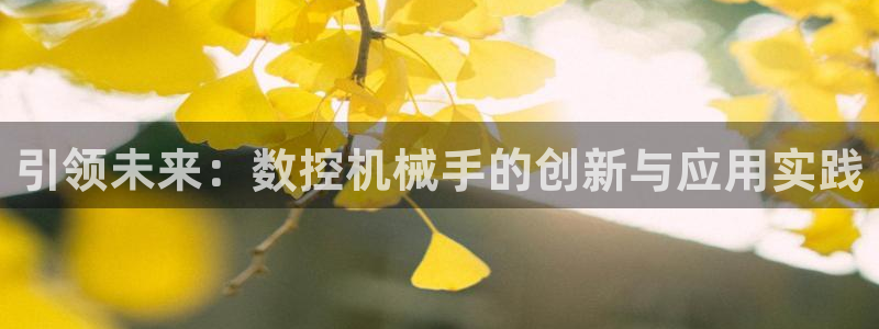 天辰娱乐棋牌:引领未来:数控机械手的创新与应用实践