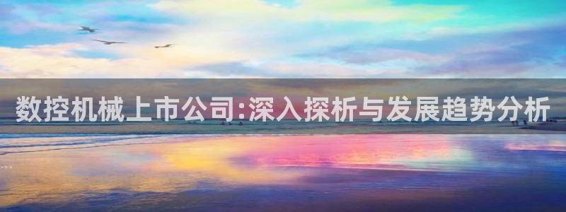 深圳天辰娱乐:数控机械上市公司:深入探析与发展趋势分析