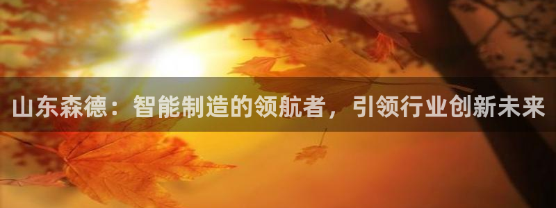 天辰娱乐app:山东森德:智能制造的领航者,引领行业创新未来